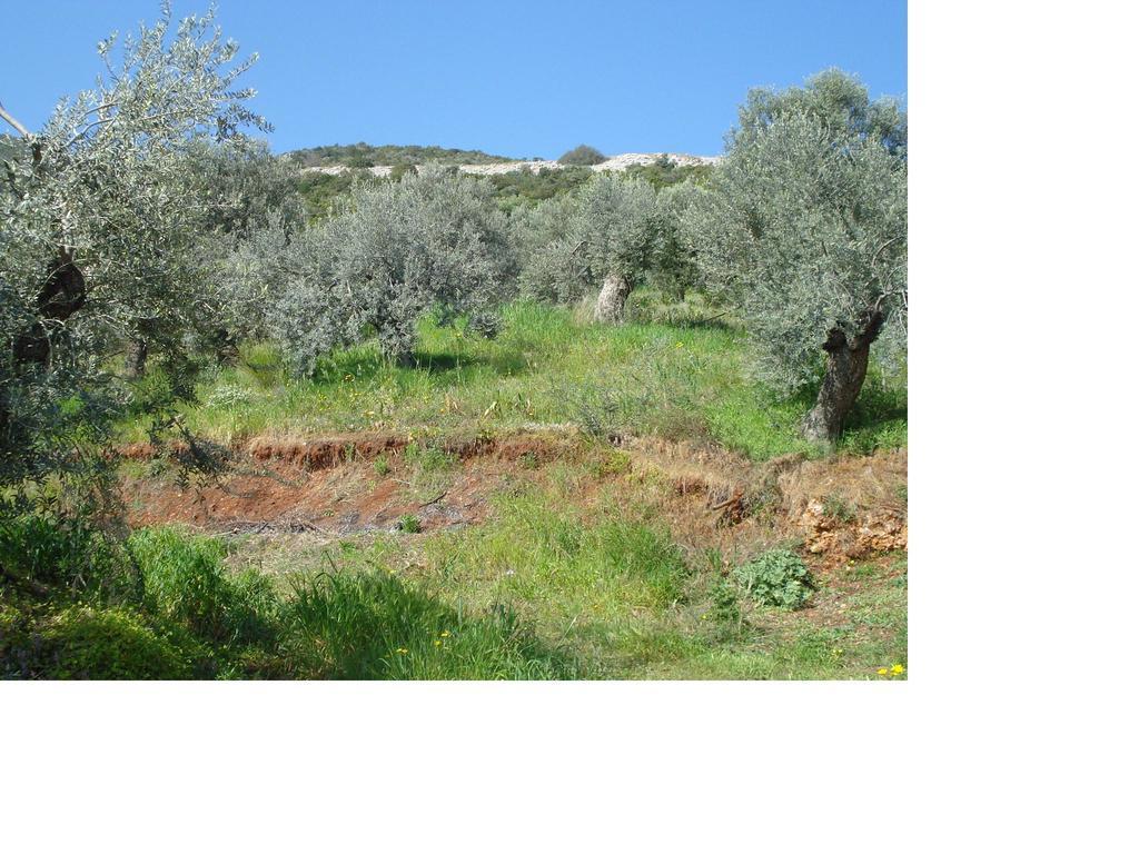 Apartamento Athina Ecofarm Epidaurus Exterior foto