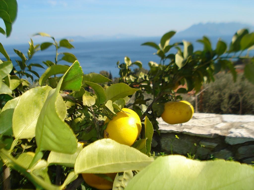 Apartamento Athina Ecofarm Epidaurus Exterior foto