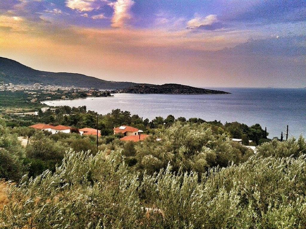 Apartamento Athina Ecofarm Epidaurus Exterior foto